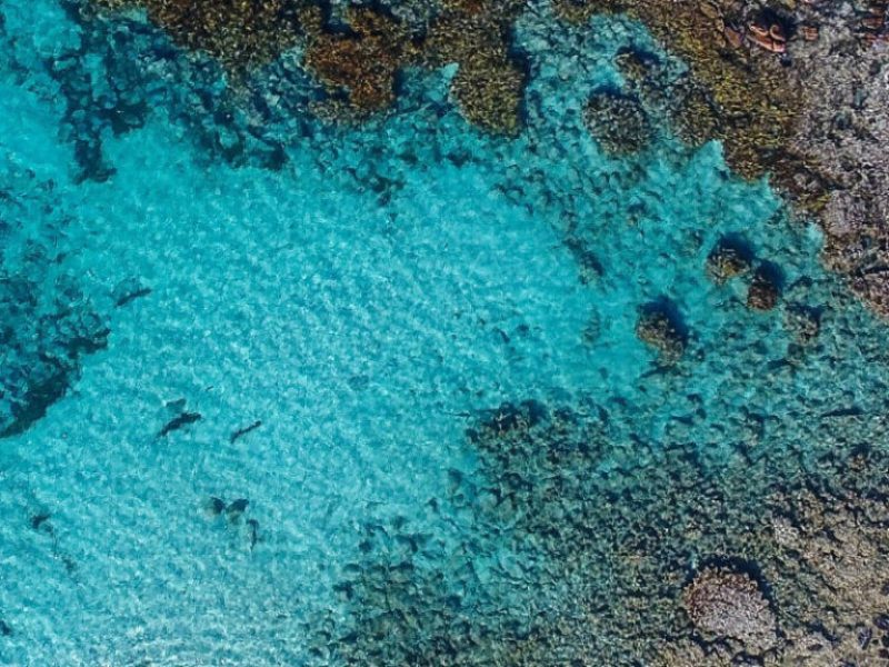 The Complete South West Loop