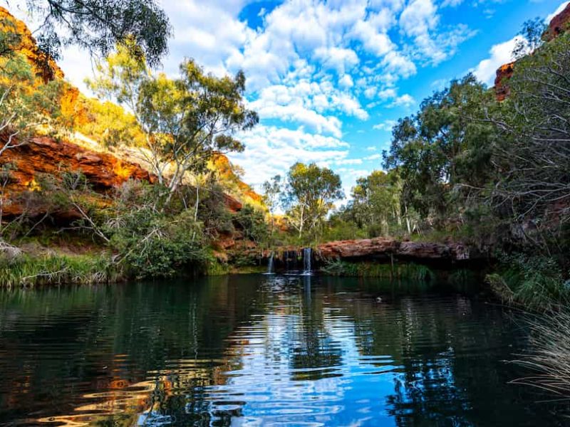 A panorama of Fortescue Falls in Dales Gorge in Karijini national park in Western Australia; a waterfall in a lush red canyon in the desert with red sand and rocks
